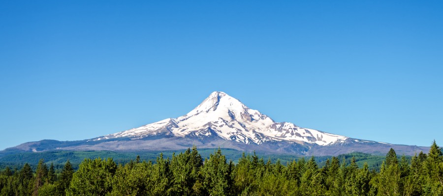 mount hood